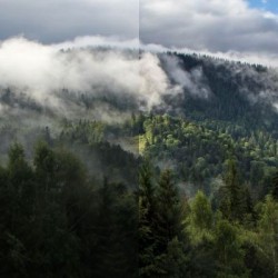 Туры в горной шории.