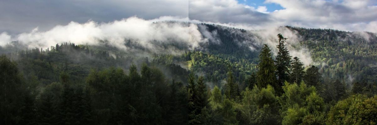 Туры в горной шории.